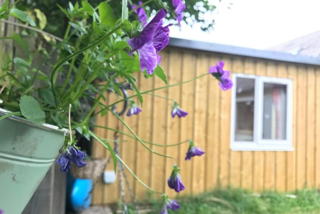 An Cabar Apartman Aviemore Kültér fotó